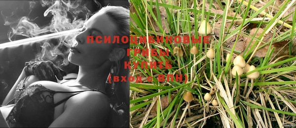 шишки Алексеевка