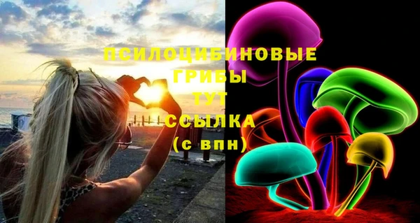 шишки Алексеевка