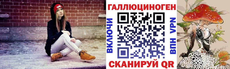 Псилоцибиновые грибы Psilocybine cubensis  Мурманск 